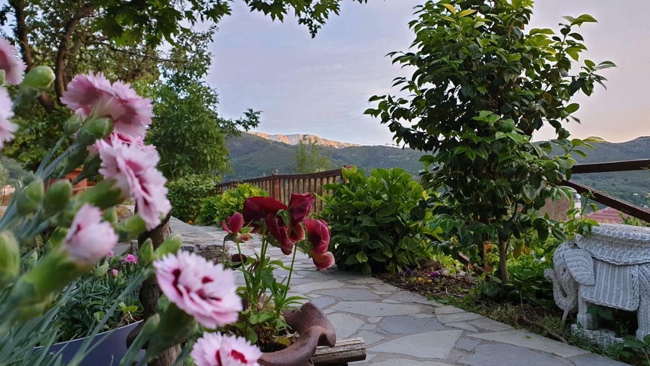 Alagonia Country Homes Eksteriør billede